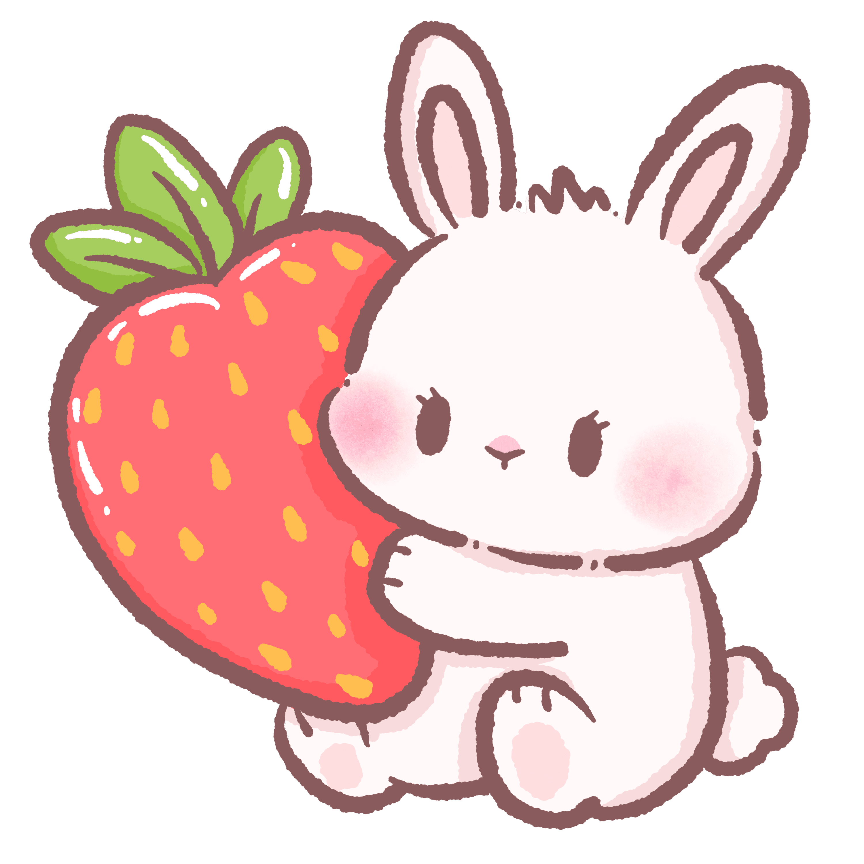 cute bunny